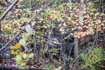 Reichenbach: Pkw kommt von der Fahrbahn ab und landet in Schlucht - Fahrer verletzt